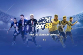 Những Lưu Ý Khi Chơi Cầu Tài Xỉu Tại Sky88 Top